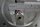 GEORGII KOBOLD 0,2 kW 43  min Getriebemotor KGC507.28S56 Gearbox