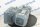 SEW 0,55 KW 110 min Getriebemotor WA37/TDRS71M4/MM05 Gearbox