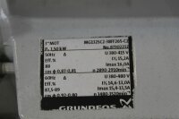 Grundfos HILGE EURO-HYGIA-II-ADAPTA Edelstahl Kreiselpumpe Lebensmittelpumpe neu