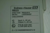 Endress + Hauser RB223 Grenzschalter  RB223-B1A