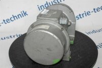 Invicta 300 W LV220 Vibrationsmotor Unwuchtmotor Rüttelmotor