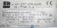 Endress + Hauser Liquiphant II FDL 31-FBG2AA7K 0220