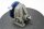 ELSTO MAS14 63P Schneckengetriebe i=3.8 getriebemotor gearbox getriebe