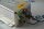 tyco Electronics 12FC10
