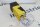 TURCK Bi15-CP40-VP4X2 Nährungsschalter Bi15CP40VP4X2
