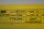 Sick C40e-1503ca010 1018652 Receiver C40s-1503ca010 1018651 Transmitter C4000