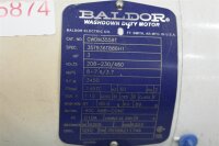 BALDOR CWDM3559T Elektromotor