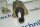 Contelec Drahtpotentiometer