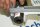 Contelec Drahtpotentiometer