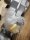 SEW 1,5 kW 7,3 min Getriebemotor KT77 R37 DRE90L4 Gearbox
