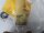 TURCK Bi5-P18SK-AP6X/S80-S277 Sensor 4656523