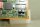 Interface CPU INTERBUS-S E110336 B 338  kundeninterface e 110 336