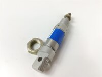 FESTO DSN-25-10 P Normzylinder DSN2510P