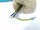 Siemens Sinumerik 570102.0012.00 Kabel