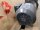 Flender 3 KW 50 min Getriebemotor Z68-A100LI4-L16N Gearbox