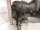 Valeo ZD 19530 Getriebemotor 2004.06.01 Wischermotor Gearbox