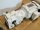 SEW 1,1 Kw 159 min Getriebemotor K37 DRE90M4/TF/DH Gearbox