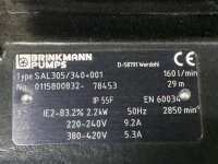 Brinkmann SAL305/340+001 Kühlmittelpumpe Eintauchpumpe Tauchpumpe 160 l/min