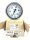 WIKA 9071768 Manometer Waagerecht 100mm 0-100 mbar G1/2