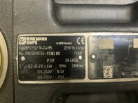 Brinkmann Pumps BFS232/70-G+195 Schraubenspindelpumpen...