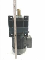 VECTOR 0,25 KW 63 min Getriebemotor R40 DT71C-4 Gearbox