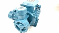 CALPEDA TM 61E 0406095784 Peripheralpumpe Wasserpumpe 0,33KW