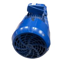 Speck Pumpen VZ-50-55.0018 Kreiselpumpe Pumpe 40234
