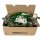 Phoenix Contact  IBS INBC Fernbusleitung 2718293