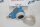Endress + Hauser Cerabar s   PMC71-ABA1H3GAAAA  Drucktransmitter