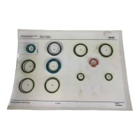 Rexroth CDT3.040/018.M F11 Dichtungssatz Ersatzteil