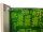 FIFE SIC-22 513918-001 Platin Modul