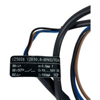 IFM IZ5026 IZB30,8-BPKG/V2A Nährungssensor Sensor