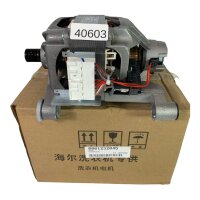 WOLONG 0024000163B Motor