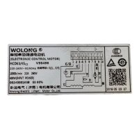 WOLONG 0024000163B Motor