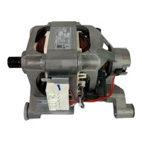 WOLONG 0024000163B Motor