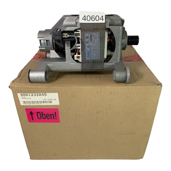 WOLONG HCD63/45  Motor 0024000163B