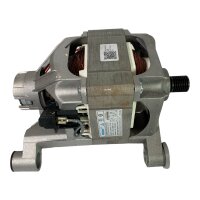 WOLONG HCD63/45  Motor 0024000163B