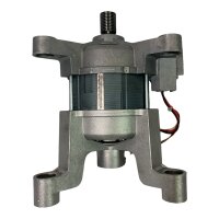 Nidec WC107A50I00 16003188102 Waschmaschinenmotor 195V 300Hz