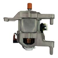 arcelik UM545555F230-01 Waschmaschinenmotor 2806850900