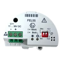 Endress + Hauser FEL55 FW-V 01.00.01 HW-V 01.00 Modul 8817F701BC6