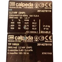 Calpeda TP100/A 2014278119 Peripheralpumpe Wasserpumpe
