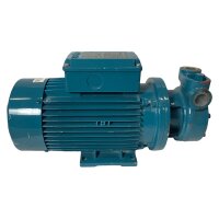 Calpeda TP100/A 2014278119 Peripheralpumpe Wasserpumpe