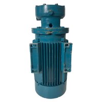 Calpeda TP100/A 2014278119 Peripheralpumpe Wasserpumpe