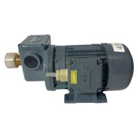 Antriebstechnik Bauknecht 0,06KW 17min Getriebemotor IRF0,06/4-71 Gearbox