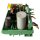 Phoenix Contact MC200NT Power Supply Module