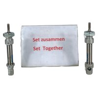 SET Inhalt 2 stk ! FESTO DSNU-12-20-P-A 1908256 Normzylinder Zylinder