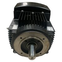 GRUNDFOS MG112MC2-28FT130-H3 Pumpenmotor
