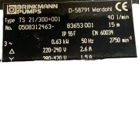 BRINKMANN PUMPS TS 21/300+001 Tauchpumpe Eintauchpumpe 40l/min