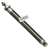 FESTO DSNU-25-160-PPV-A 19250 Normzylinder Zylinder
