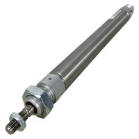 FESTO DSNU-25-160-PPV-A 19250 Normzylinder Zylinder